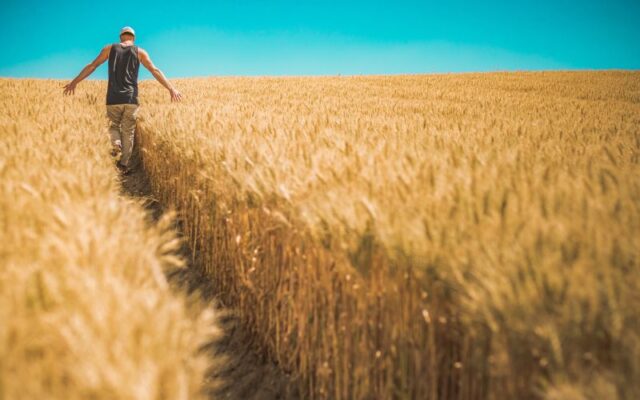 Optymalizacja wydajności maszyn rolniczych — AGROHANDEL, czyli partner w rolnictwie